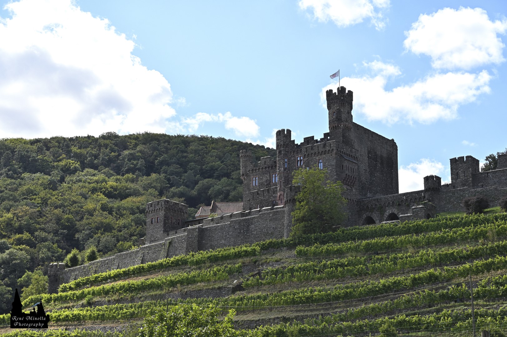 Burg Reichenstein, Trechtingshausen, Rheinland-Pfalz